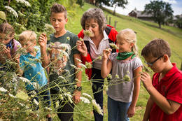 Vielseitige Angebote beim Naturerlebnisprogramm 