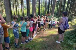 Outdoor Unterricht Kinder in Ameisenschlange
