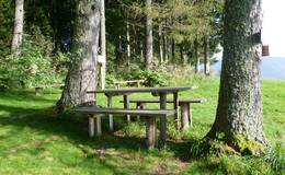 Lärchenwiese Vogelbeer-Panoramaweg