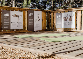 Yoga-Platz beim Waldpark Hochreiter