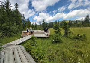 Natur-Ausflugsziele / Erleben / Naturpark