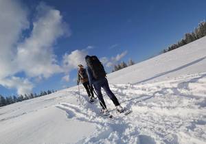 Schneeschuhwandern Winterwandern im Naturpark