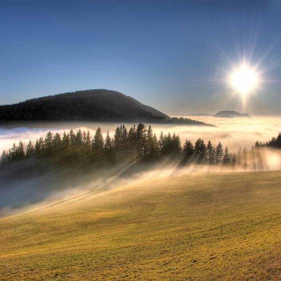 Nebelmeer mit Sonnenaufgang