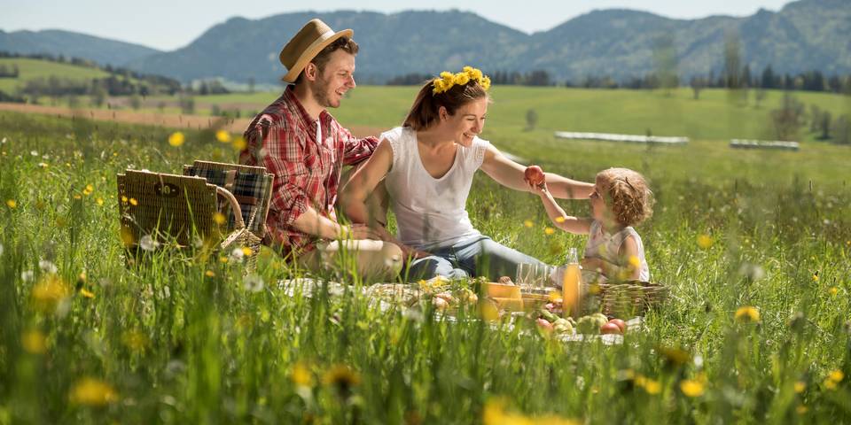 Angebote im Naturpark in der Steiermark