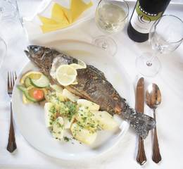 Almenland-Forelle