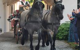 Kutschenfahrten mit der Familie Friedl im Naturpark Almenland