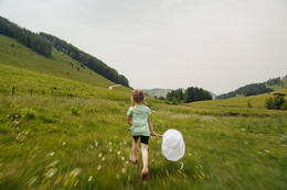 Natur erleben im Naturpark Almenland