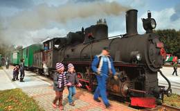 Die Feistritztalbahn durch das Almenland
