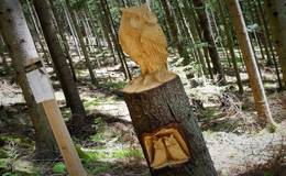 Holzskulpturenweg Kauz