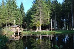 Vogelbeer-Wandertag Schwoaghofer Teich im Naturpark Almenland