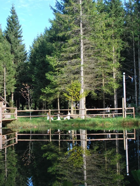Vogelbeer-Panoramaweg