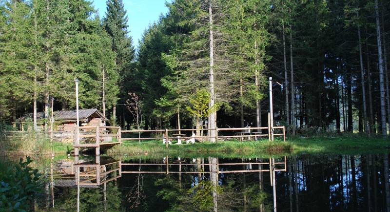 Schwoaghofer Teich