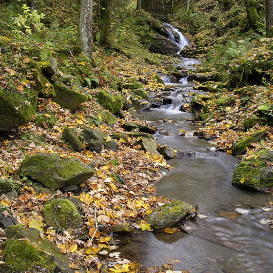Ein Blick zur Raabklamm im Almenland