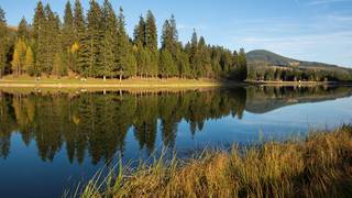 Moor Nature Trail / Teichalm / Hike