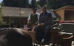 Kutschenfahrten mit der Familie Friedl im Naturpark Almenland