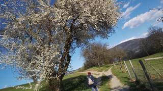 Pilgerweg / Rundweg / Passail