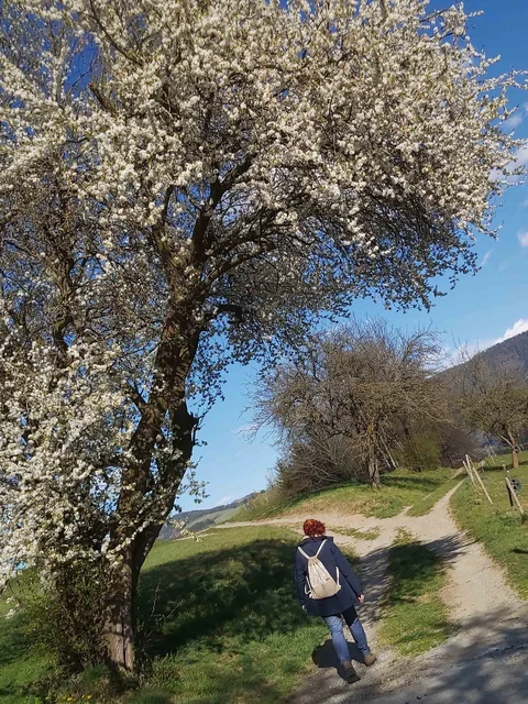 Pilgerweg Passail Pilgerweg Passail