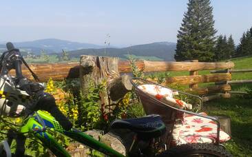 Ein schöner Garten auf der Sommeralmhütte