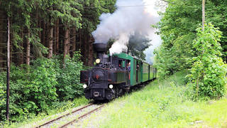 Feistritztalbahn Ausflugsziel Gruppen
