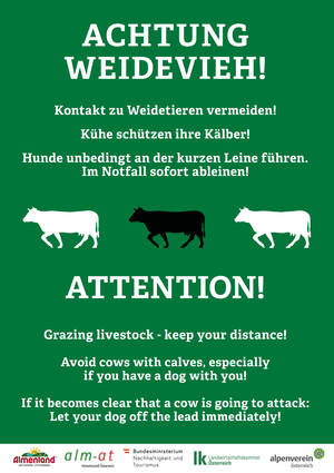 Verhaltensregeln Weidevieh