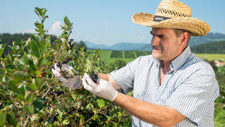 Nickl's Aronia Gruppen Ausflugsziel im Naturpark