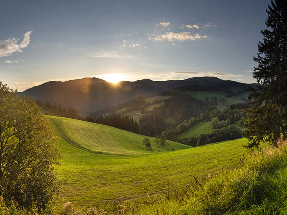 Ein herrlicher Blick auf die Sommeralm