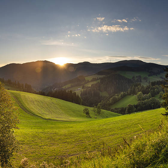Ein herrlicher Blick auf die Sommeralm