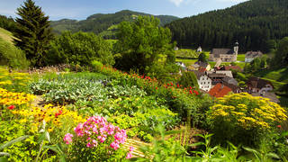 Sunnberg-Runde / Wanderung / Steiermark