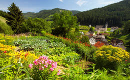 Garten in Gasen im Naturpark Almenland