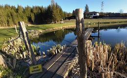 Fish ponds in Passail