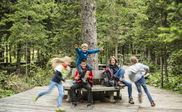 Kinder beim Spielen am Moorlehrpfad auf der Teichalm