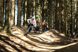 Downhill bei der Funbase Holzmeister im Naturpark Almenland.