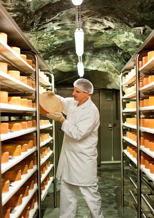 Verarbeitung der Käselaibe im Almenland Stollenkäse in Arzberg.