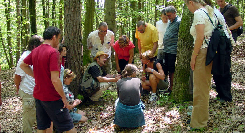 Naturvermittler direkt im Wald