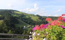 Aussicht Heilbrunn