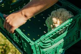 Lokales Produkte der Produzenten aus dem Naturpark Almenland