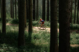 Waldweg auf der Mountainbike Strecke "Der große Jogl".