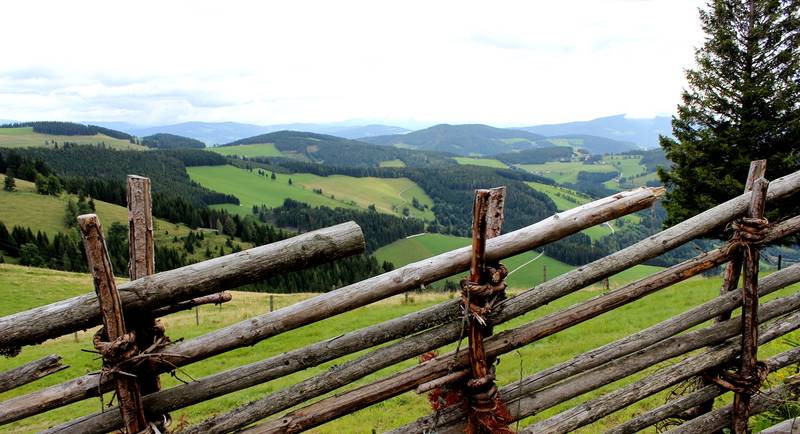 Ein Blick über den Bänderzaun