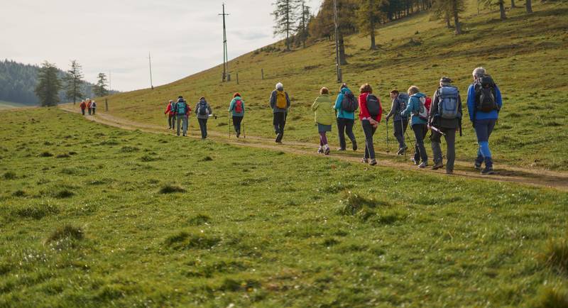 Wandermarathon