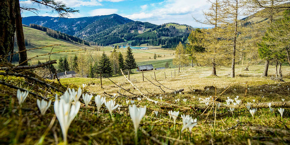 Angebote / Naturpark / Steiermark