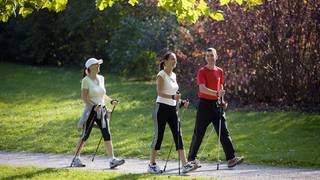 Nordic Walking / Laufen / Steiermark