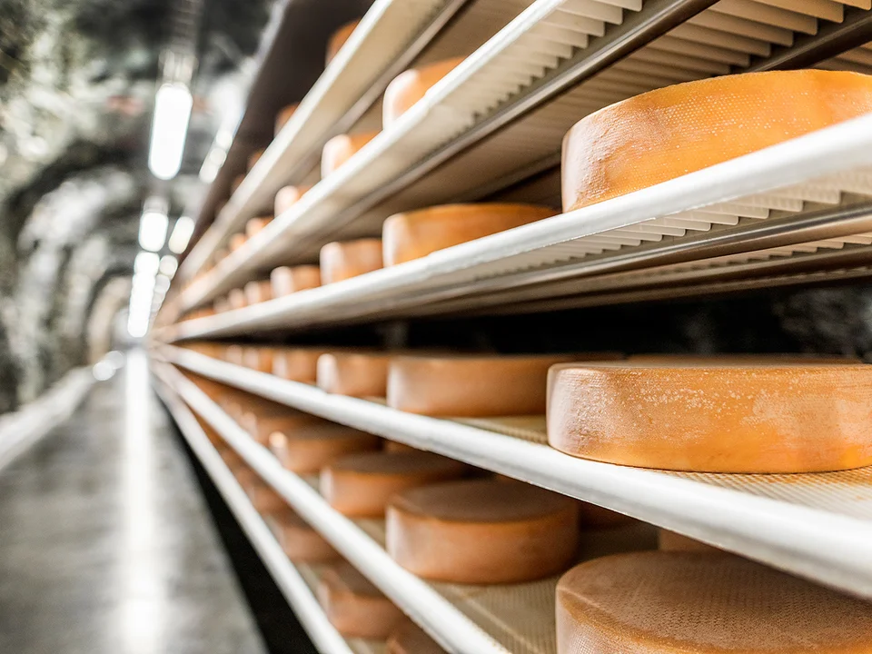 Der Käse im Stollen