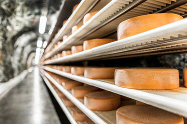 Der Käse im Stollen