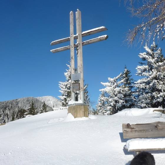 Wetterkreuze in Schneelandschaft