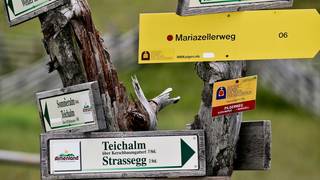 Richtiges Verhalten / Wandern / Naturpark