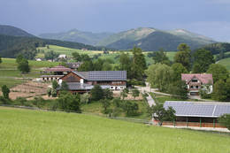 Urlaub am Bauernhof beim Pferdehof Stockner