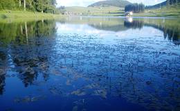 Teichalmsee