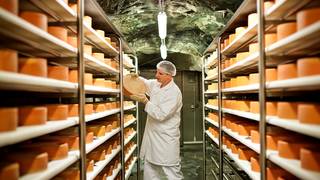 Almenland Stollenkäse regional Steiermark