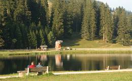 Teichalm lake with wooden ox