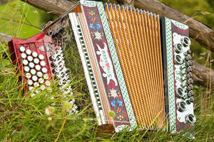 Harmonika